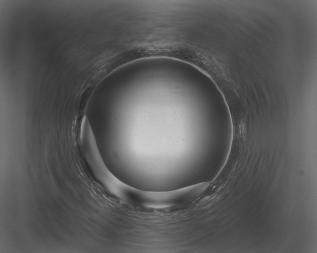 X0000083991300200702232100