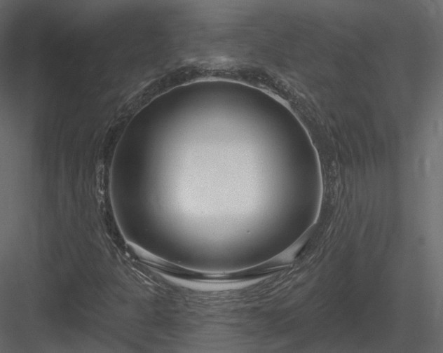 X0000083991301200702232100