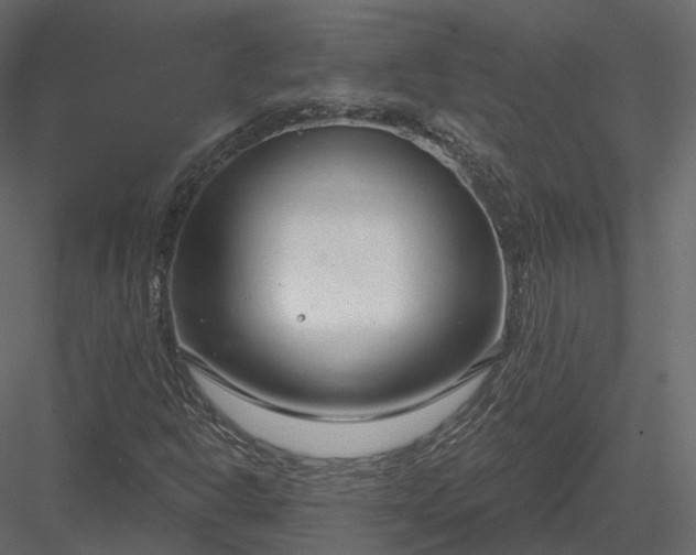 X0000083991302200702232100