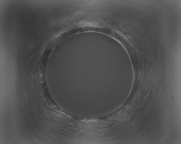 X0000083991303200702232100