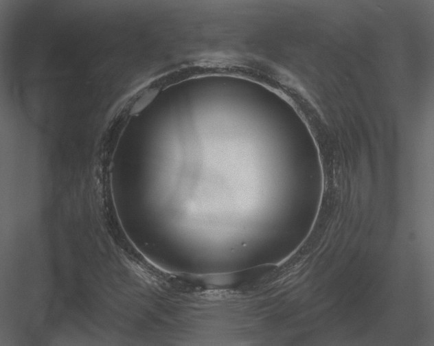 X0000083991304200702232100