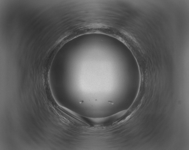 X0000083991305200702232100