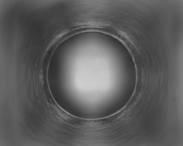 X0000083991307200702232100