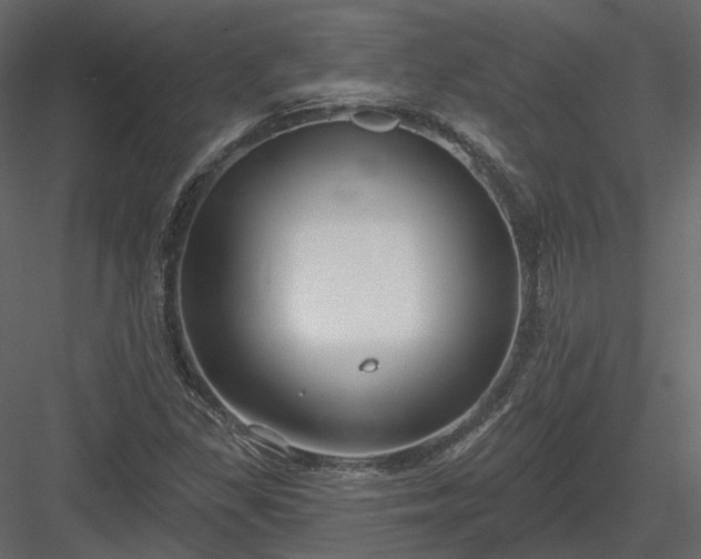 X0000083991309200702232100