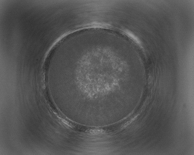 X0000083991310200702232100