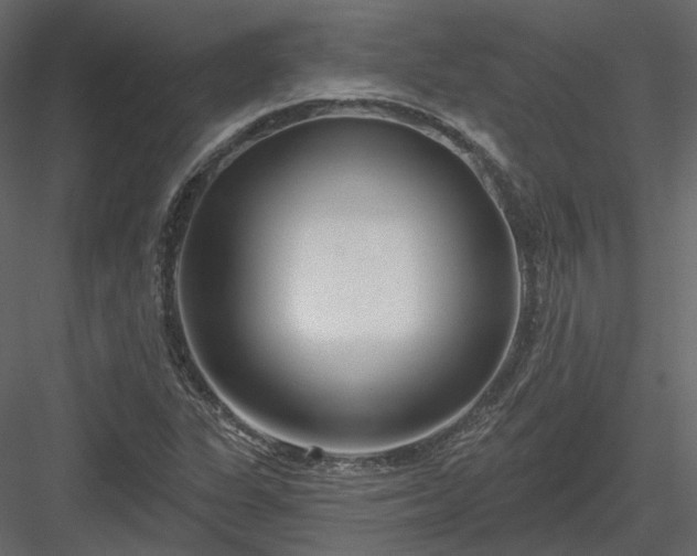 X0000083991311200702232100