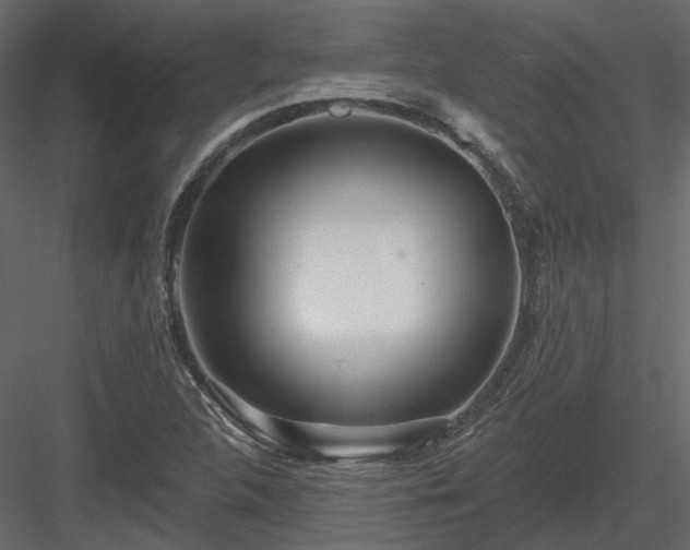 X0000083991312200702232100