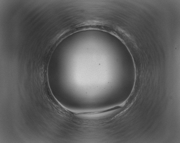 X0000083991313200702232100