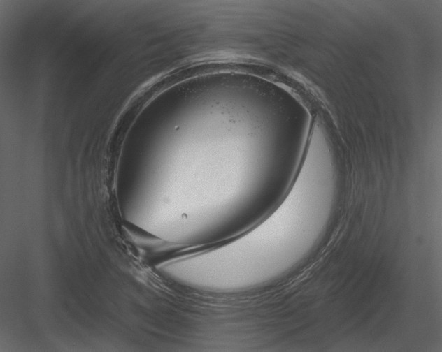 X0000083991314200702232100