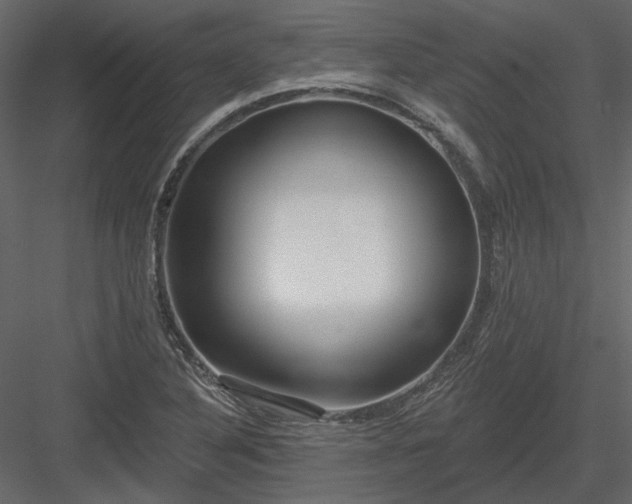 X0000083991316200702232100