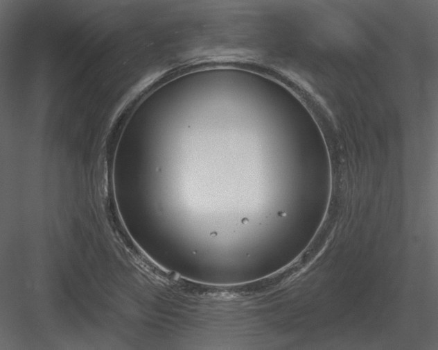 X0000083991317200702232100