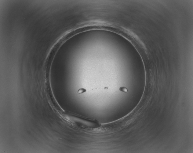 X0000083991318200702232100