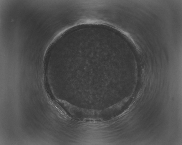 X0000083991319200702232100