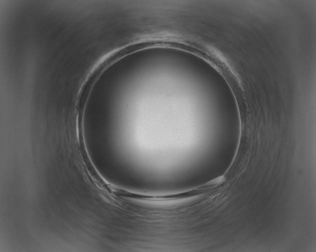 X0000083991320200702232100