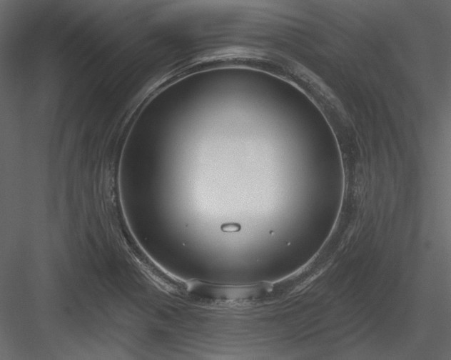 X0000083991321200702232100