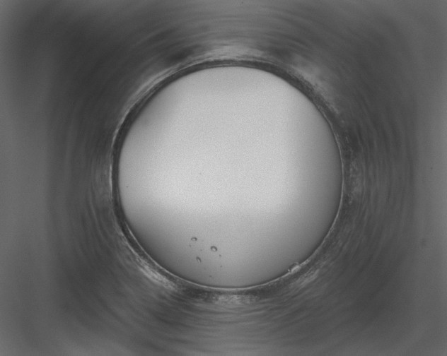 X0000083991322200702232100