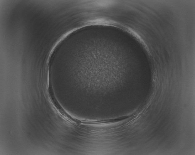 X0000083991323200702232100