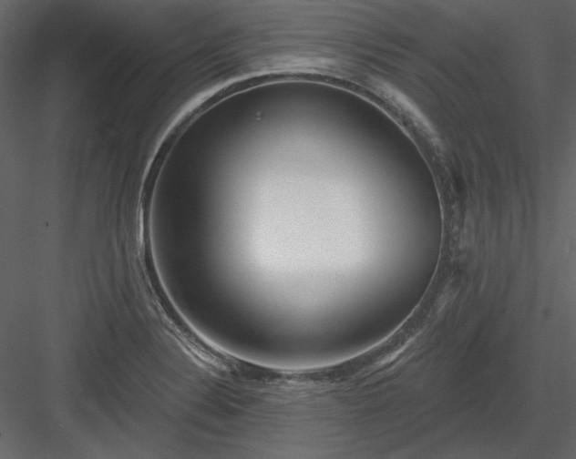 X0000083991324200702232101