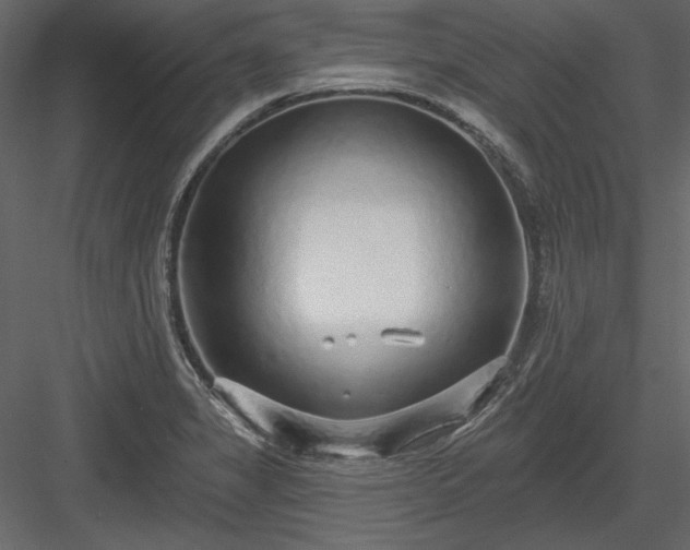 X0000083991325200702232101