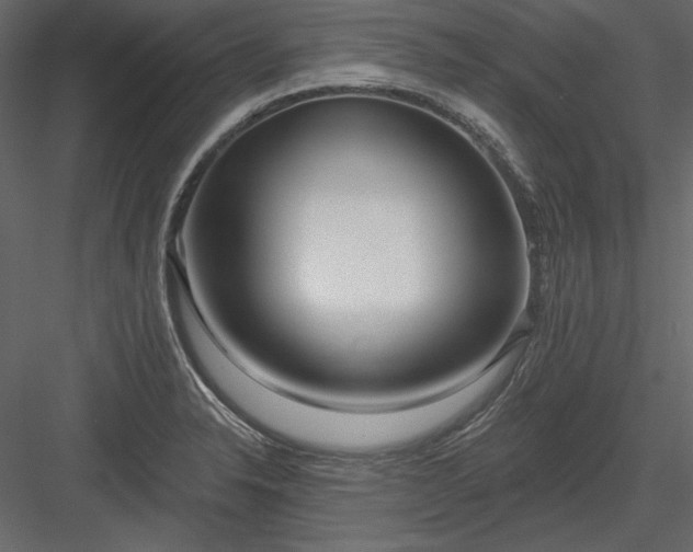 X0000083991326200702232101