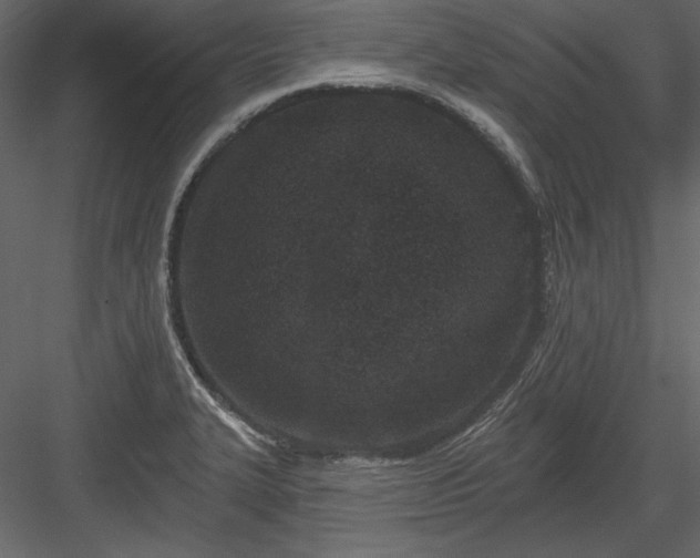 X0000083991327200702232101