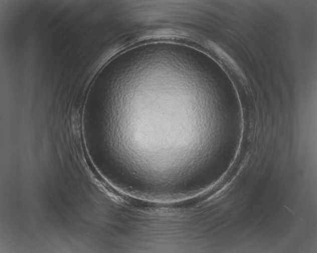 X0000083991329200702232101