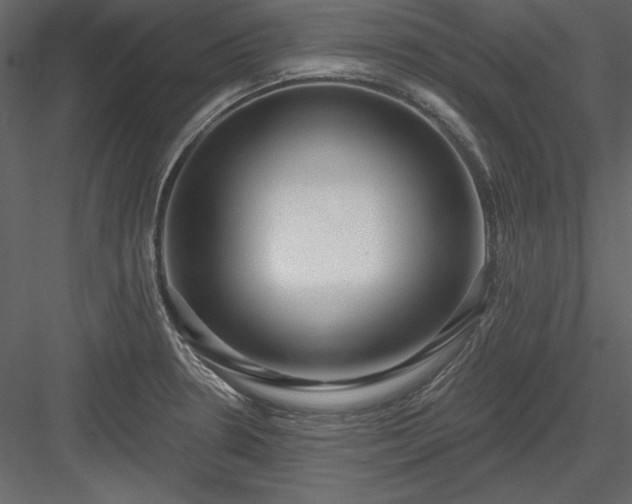 X0000083991330200702232101