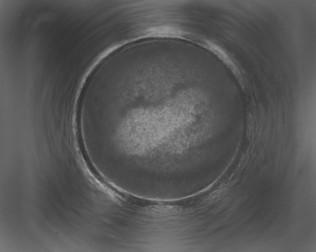 X0000083991331200702232101