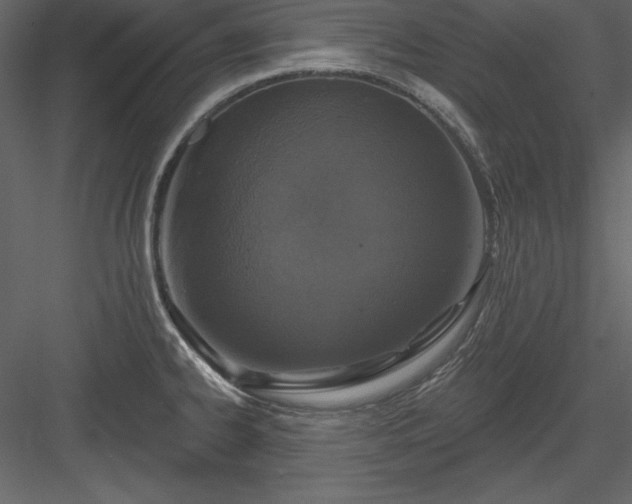 X0000083991334200702232101