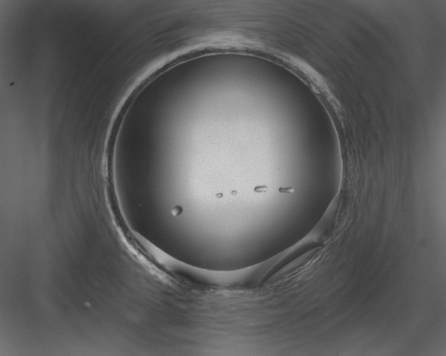 X0000083991335200702232101