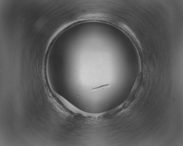 X0000083991336200702232101