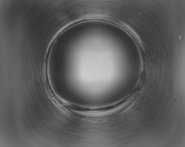 X0000083991340200702232101