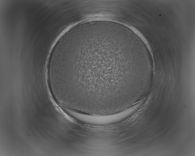 X0000083991341200702232101