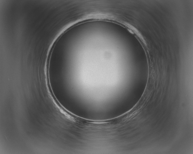 X0000083991343200702232101