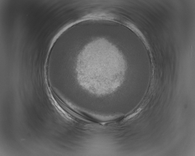 X0000083991344200702232101