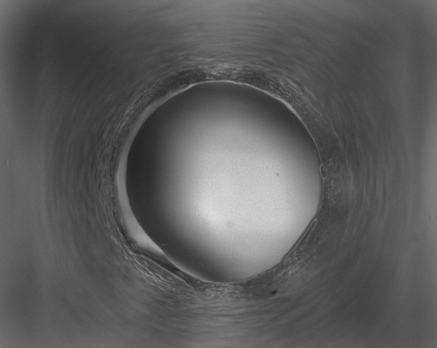 X0000083991345200702232100