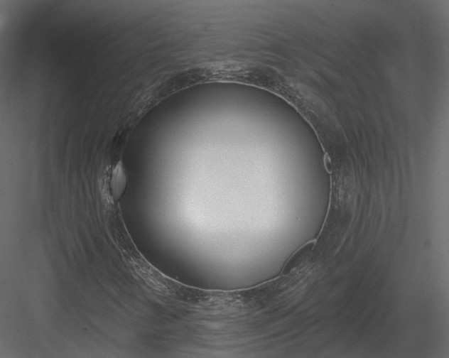 X0000083991346200702232100