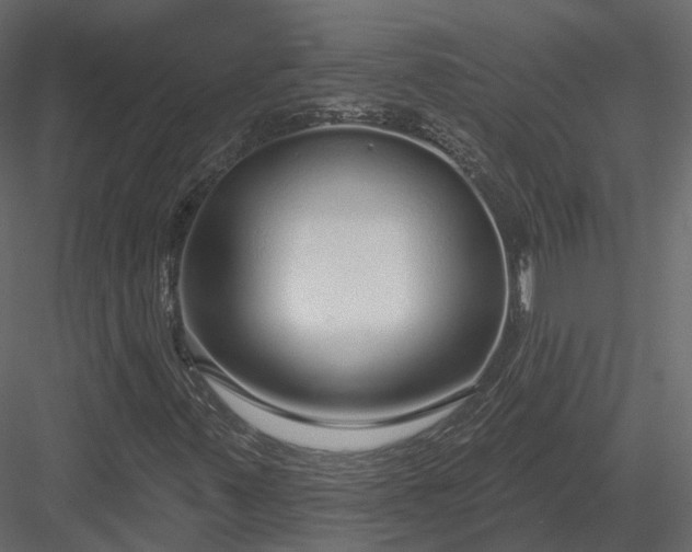 X0000083991347200702232100