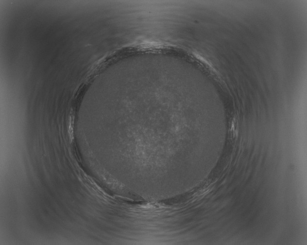 X0000083991348200702232100