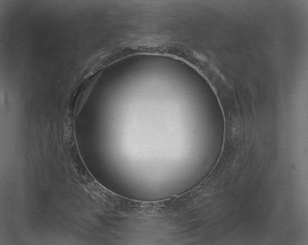 X0000083991350200702232100