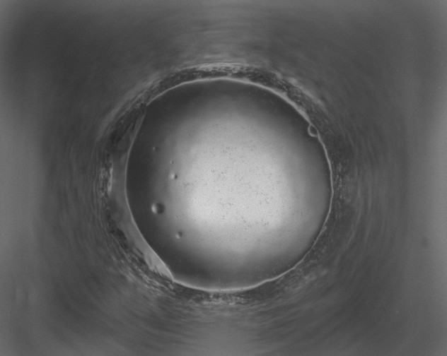 X0000083991351200702232100