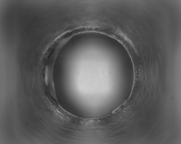 X0000083991352200702232100