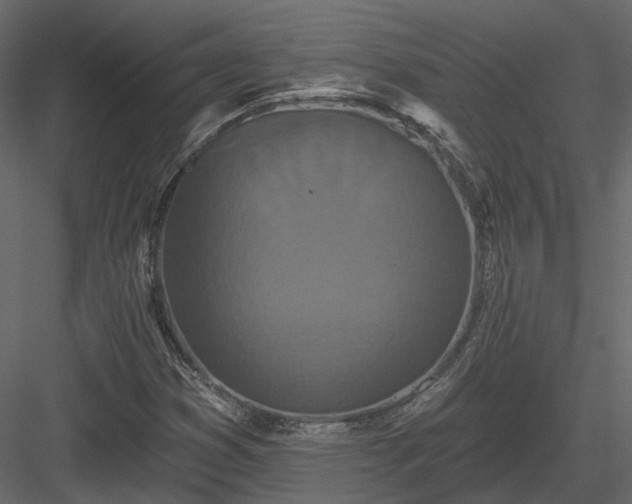 X0000083991353200702232100