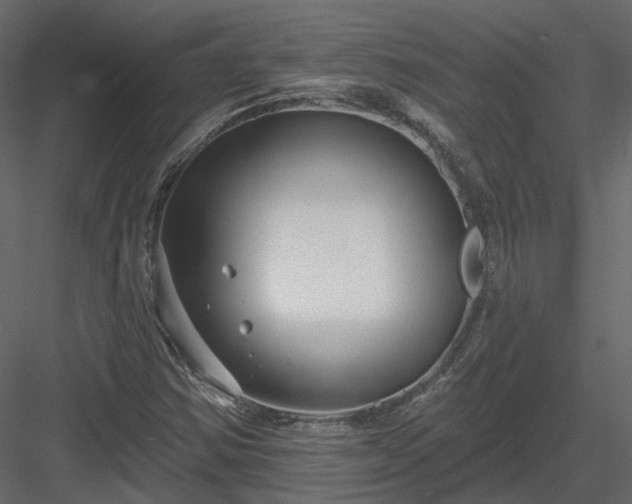 X0000083991354200702232100