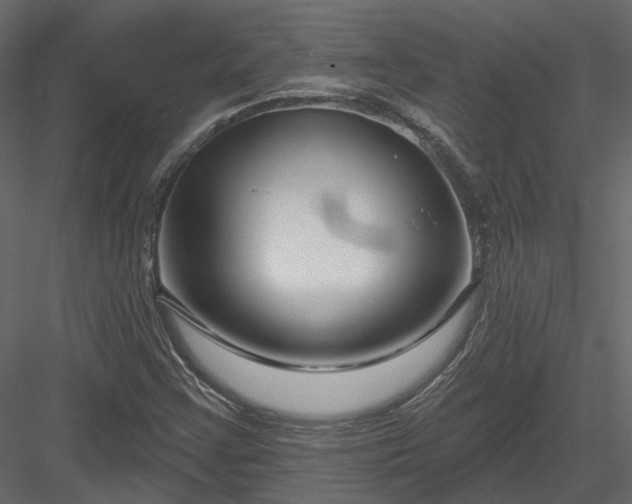 X0000083991355200702232100