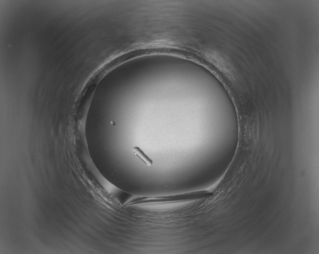 X0000083991356200702232100