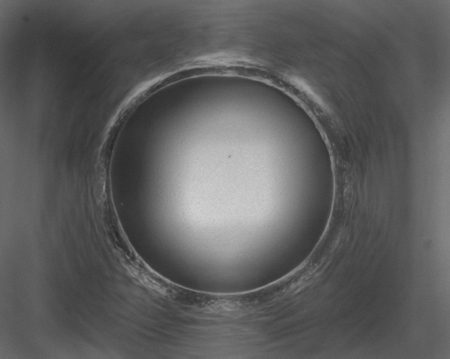 X0000083991358200702232100