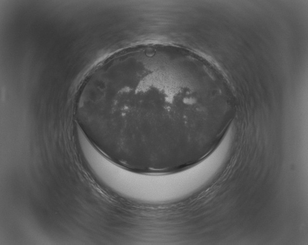 X0000083991359200702232100