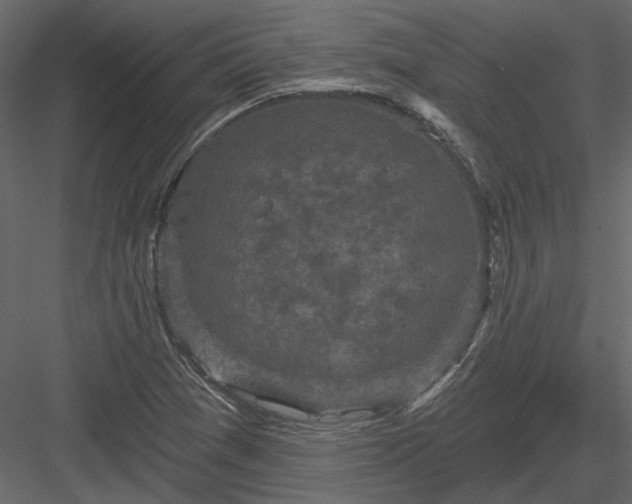 X0000083991361200702232100