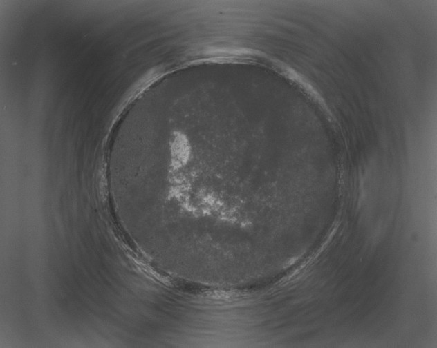 X0000083991362200702232100